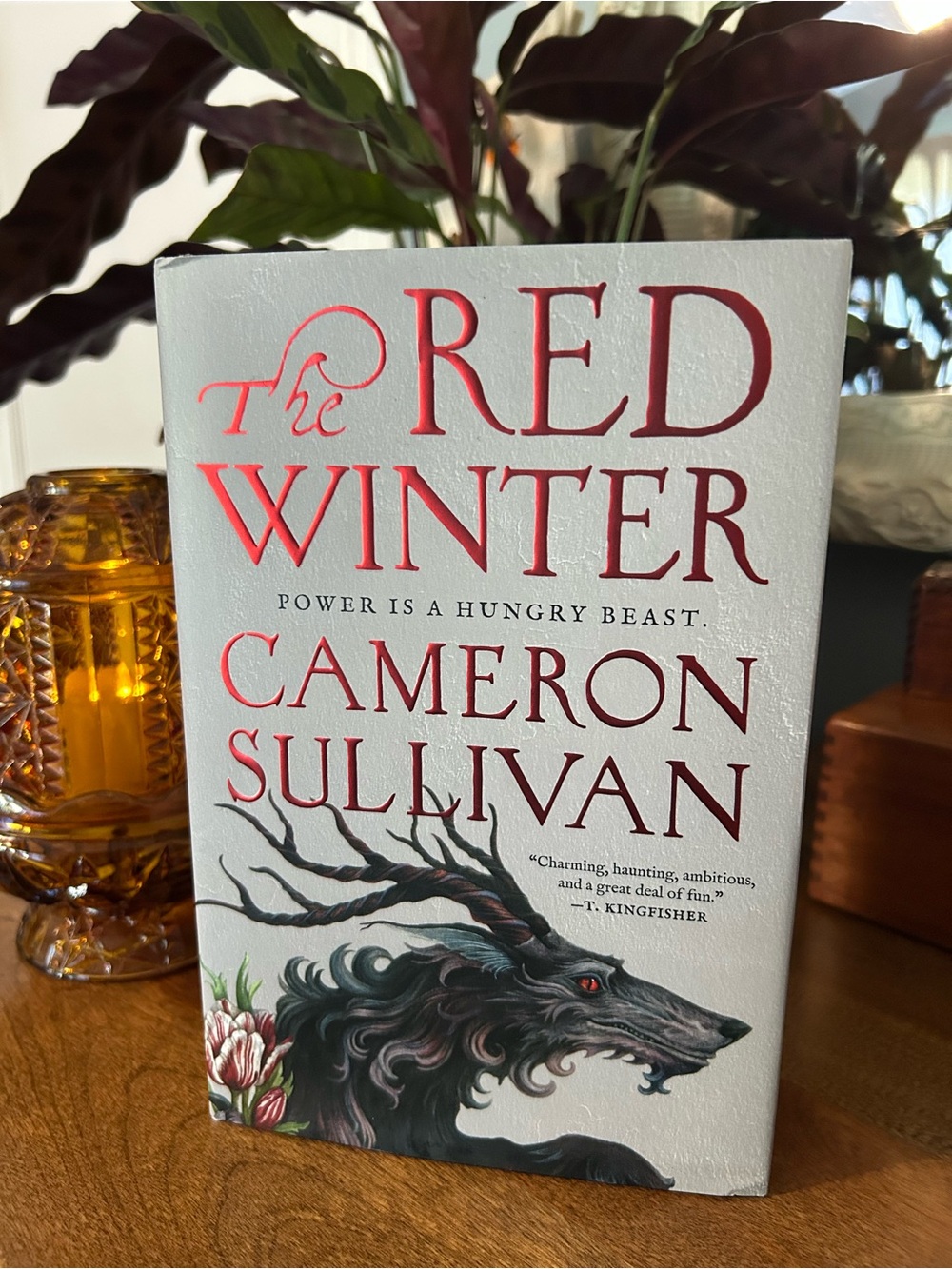 New Unread Condition The Red Winter by Cameron Sullivan, Hardcover Book